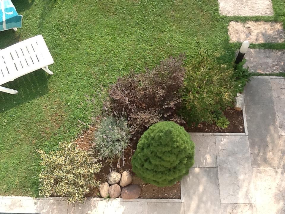 B&B Al Giardinetto Verona Exterior photo